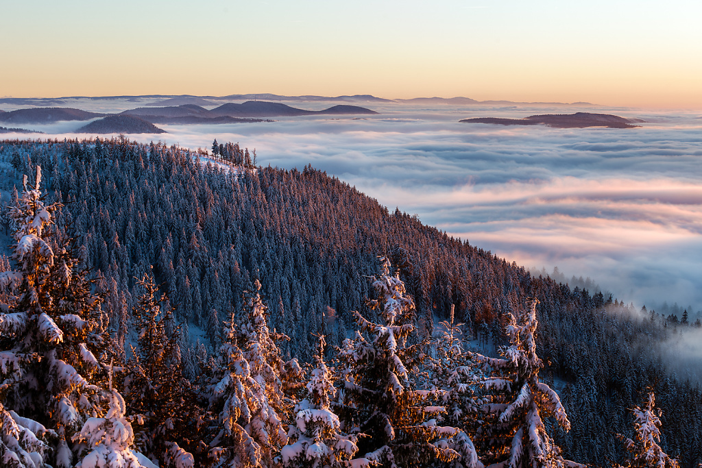 Inversion on New Years Day